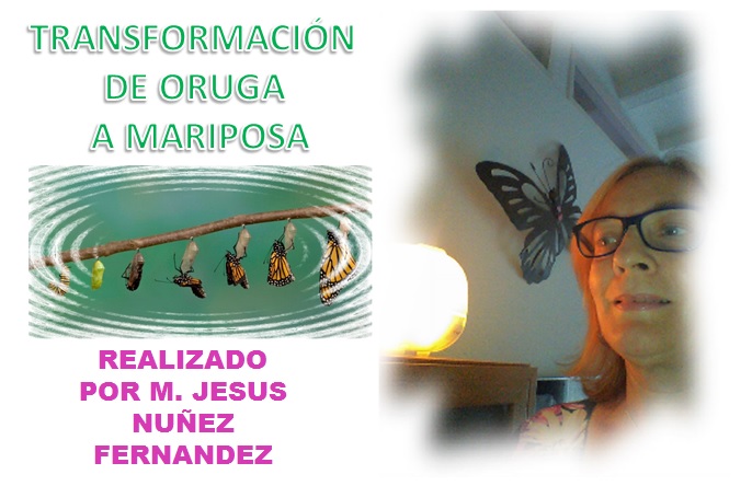 AUDIO TALLER TRANSFORMACIÓN DE ORUGA A MARIPOSA – 1 PARTE