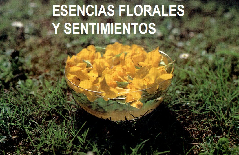 ESECIAS FLORALES Y SENTIMIENTOS