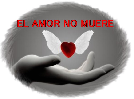 EL AMOR NO MUERE