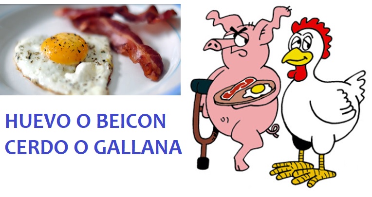 HUEVO O BEICON  –  CERDO O GALLINA